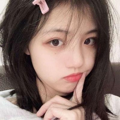 肥猫寻亲记