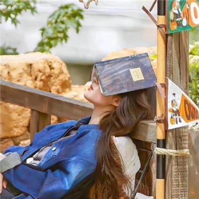 恋恋飞翔